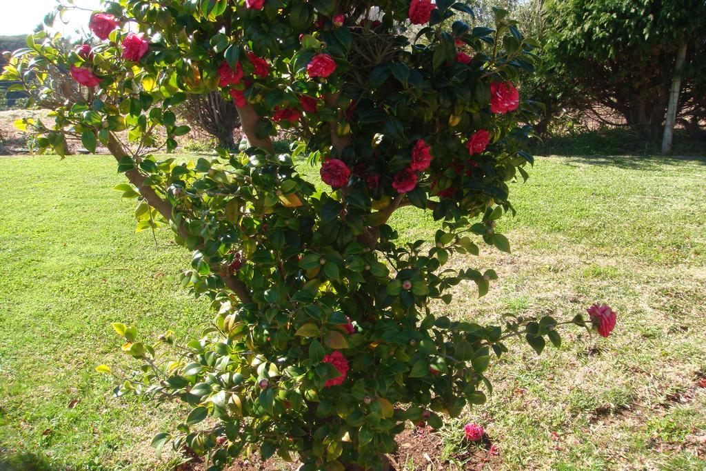 Herdade Do Pedregal Понта-ду-Паргу Номер фото